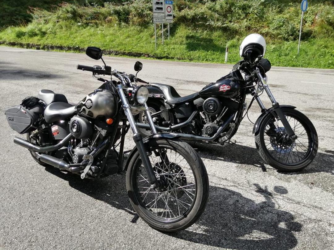 51503388-35fc-4122-a0d6-f31fb0b17520